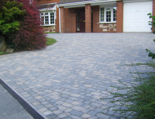 Creating Stylish, Low-Maintenance Gardens with Expert Paving Solutions in Brighton